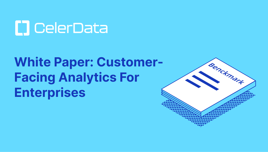 customer-facing analytics for enterprises